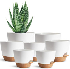 Vaso Autoinnaffiante per Tutte