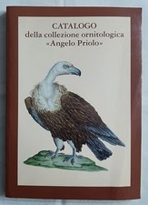 Catalogo della Collezione
