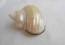 Conchiglia in vera madreperla con rifinitura argento 925 