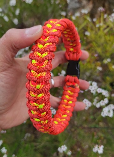 Collare cane paracord - collare,