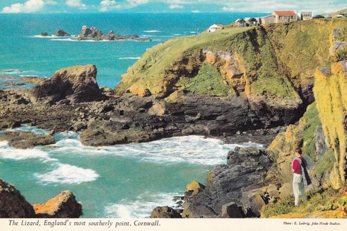 Postcard the lizard - postcard,