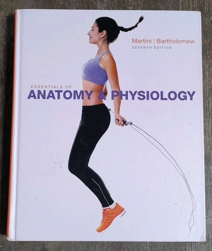 Essentials anatomy - of,