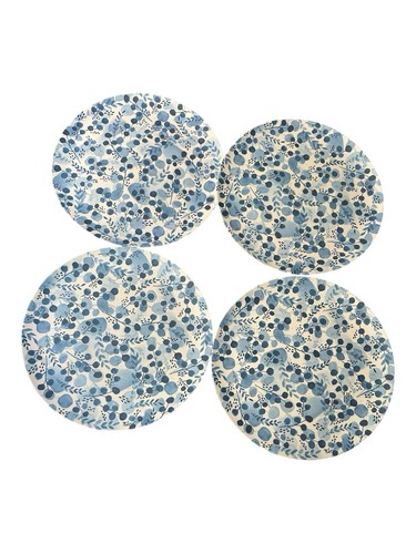 Set piatti cambridge english - set,