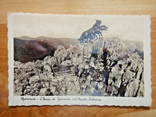 GORIZIA-I Lupi di Toscana sul