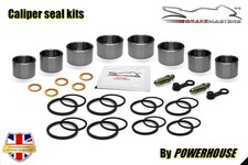 Kit revisione pinza freno