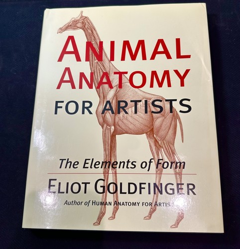 Animal anatomy for - animal,