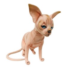 Gatto Sphynx seduto, adorabile