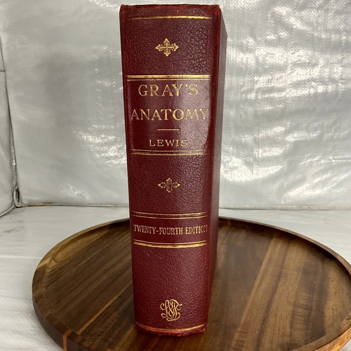 Gray anatomy the - anatomy, of