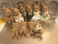 Famiglia Sylvanian Families #5