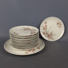 Servizio Piatti Da Dessert Porcellana Bavaria Tema Ramo Con Fiori Vintage 1960