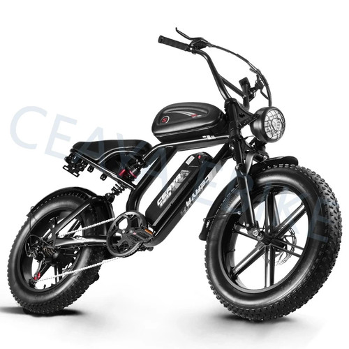 Batteria fat tire - 20'', e-bike