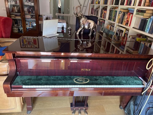 Pianoforte acustico - ,