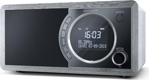 Sharp radio digitale portatile - sharp,