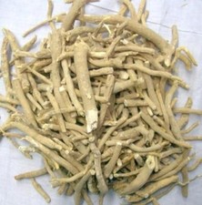 Radice di Ashwagandha