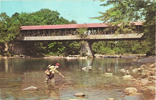 Cartolina uomo pesca vicino - uomo,