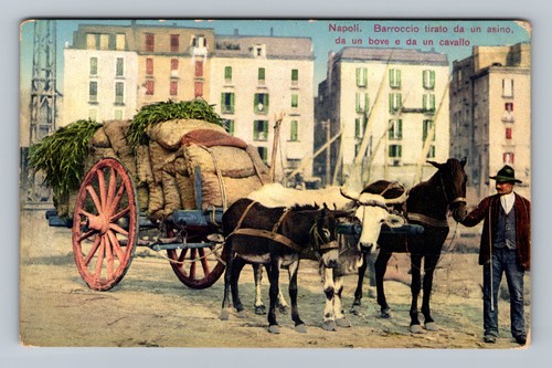 Italia napoli carrello - italia-,
