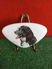 APPENDIABITI ATTACCAPANNI