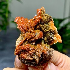 69G Vanadinite naturale su barite grappolo cristallo esemplare minerale dal Marocco