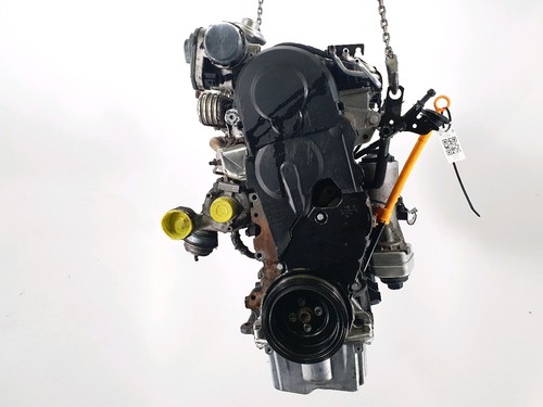 Motore bxe volkswagen - motore,