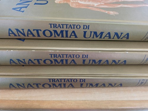 Trattato anatomia umana - trattato,