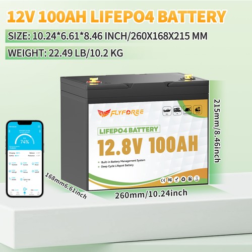 Batteria litio 12v 100ah - litio,