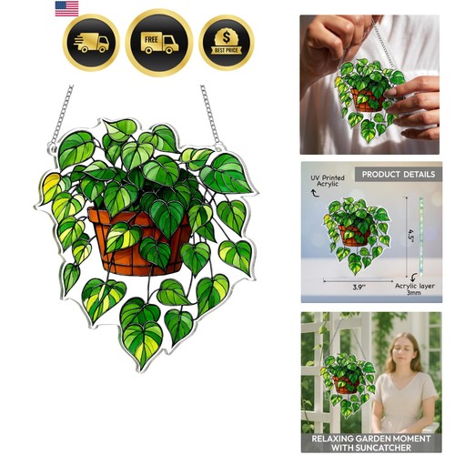 Acchiappasole per piante - acchiappasole,