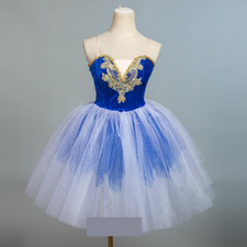 New Ballet Performance