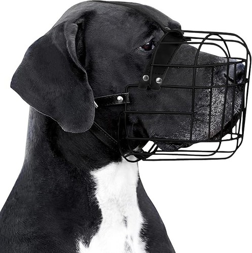 Museruola per cani metallo - museruola,