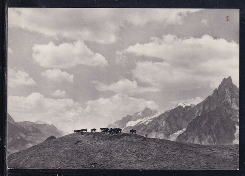 Cartolina courmayeur sul - sul, monte