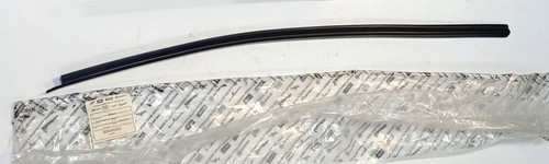 Raschiavetro esterno porta dx - porta,