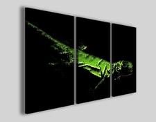 Quadri moderni Iguana stampe