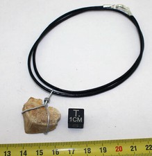 Collana Pendente Dente Di