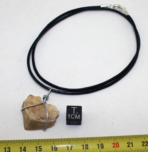 Collana pendente dente - pendente, di