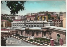 TOLFA - ROMA - VEDUTA