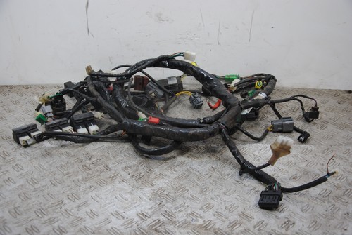 73819 cablaggio impianto - 73819,
