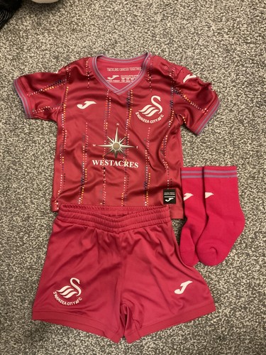 Swansea city neonati - city,