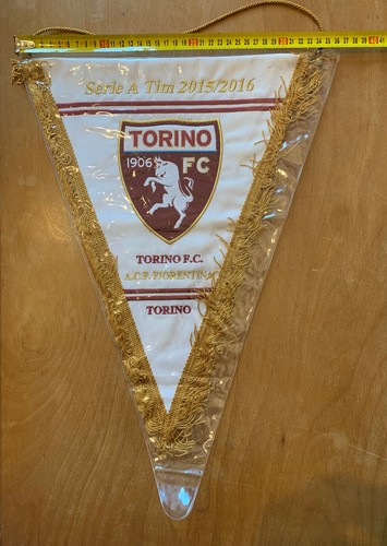 Torino fiorentina calcio - fiorentina,