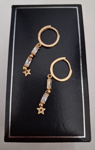 Orecchini donna oro 1164 - /585,