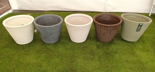 Cmha campana rigata - cmha,