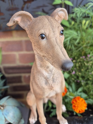 Whippet dog ornament resin - whippet,
