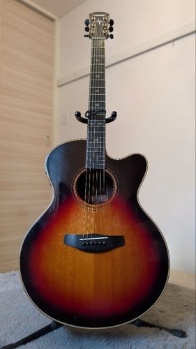 Chitarra elettrica acustica