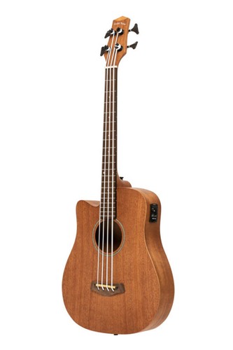 Micro basso elettroacustico