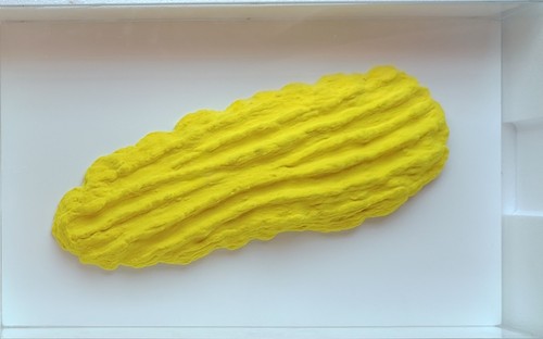 Pino pinelli - pino,