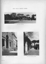 1906 stampa di disegno