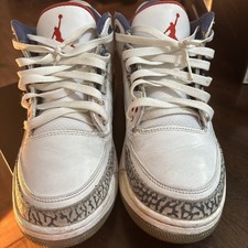 Nike Air Jordan 3 Retro True