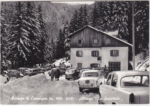 Foresta campigna forli - foresta,
