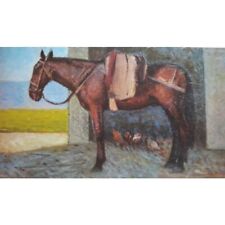 Giovanni Malesci, Cavallo