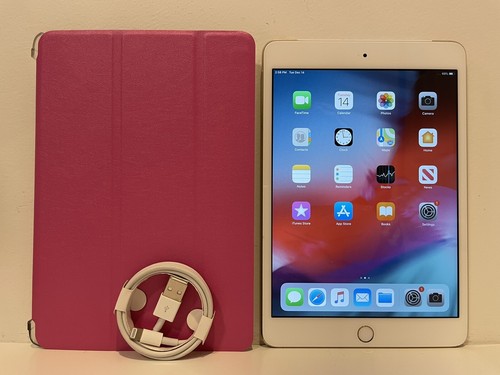 Apple ipad mini wi fi - apple, gb,