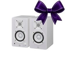 Coppia monitor da studio