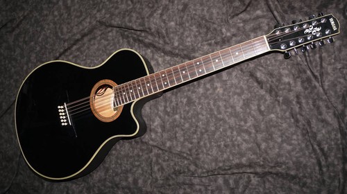 Chitarra elettrica acustica - chitarra,